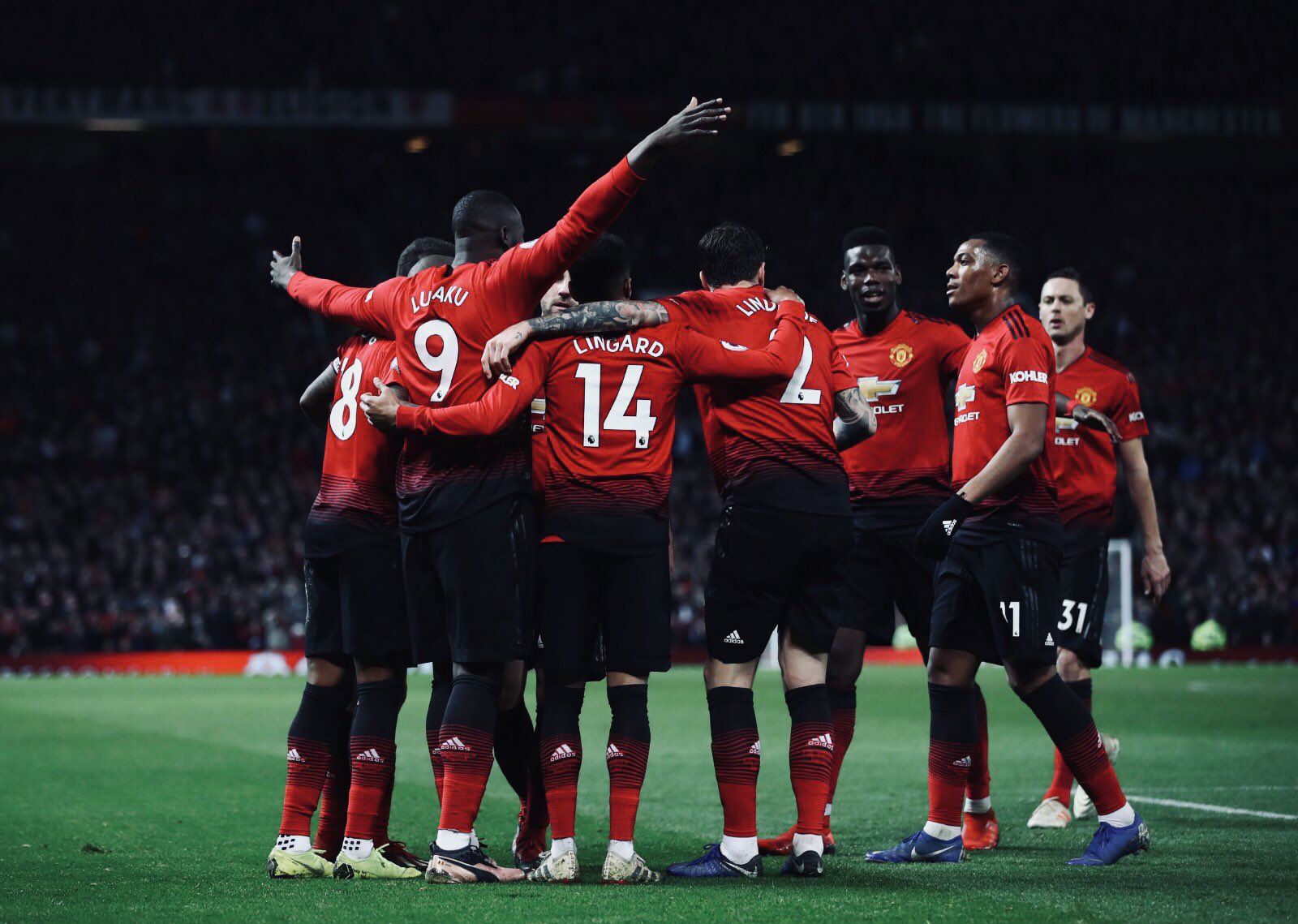 完全有机会 完全有机会