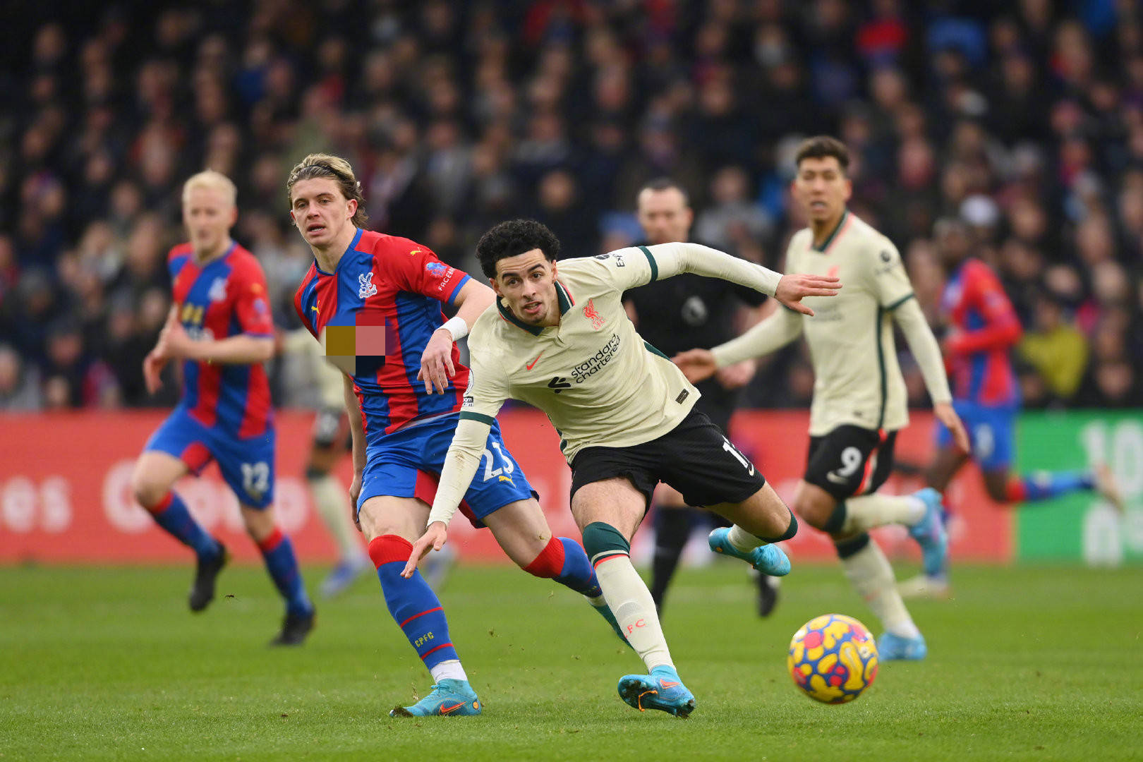 包括用哪些 包括用哪些